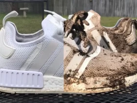 how to clean nmds