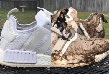 how to clean nmds
